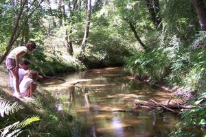 Alojamiento - Cap'Cabane