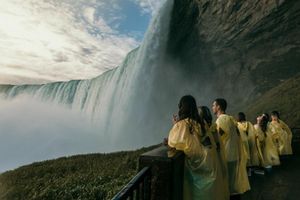 Actividad - Pase de atracciones de 2 días: 5 atracciones, autobús WEGO y audioguía