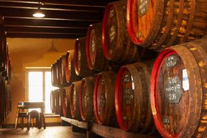 Actividad - Visita a la bodega HM Borges