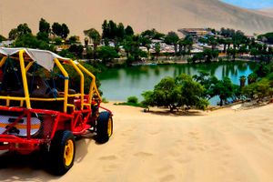 Actividad - Full Day Paracas -Ica desde Lima