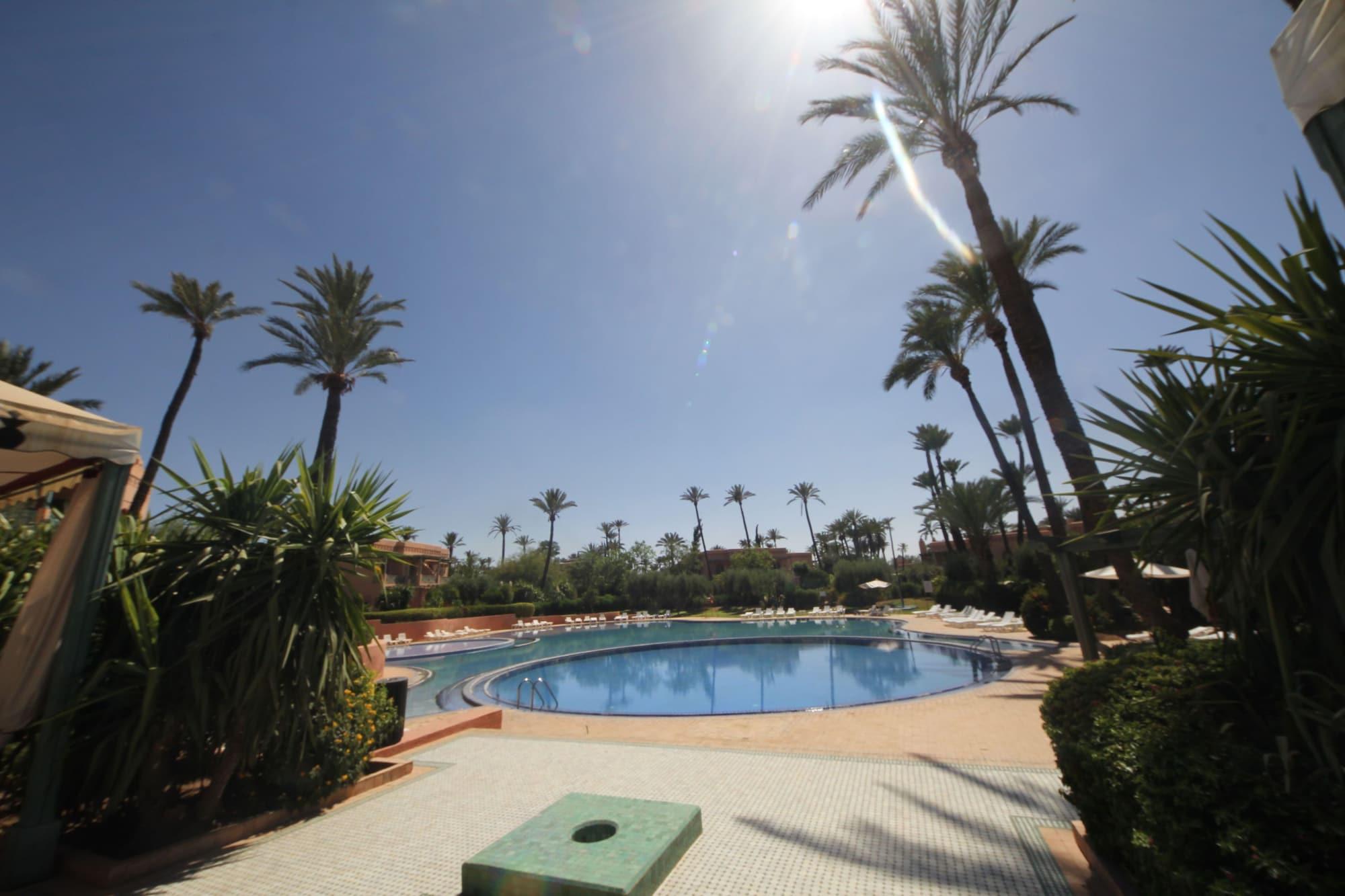 Vista Piscina Beyond Palm Appart