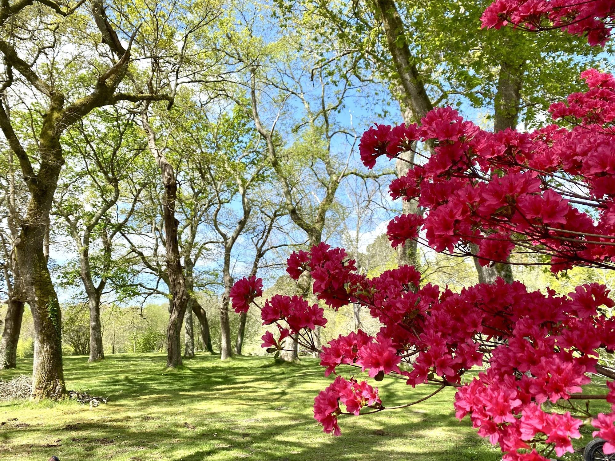 Vista Exterior Domaine Baruteau