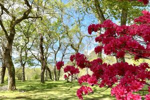 Alojamiento - Domaine Baruteau
