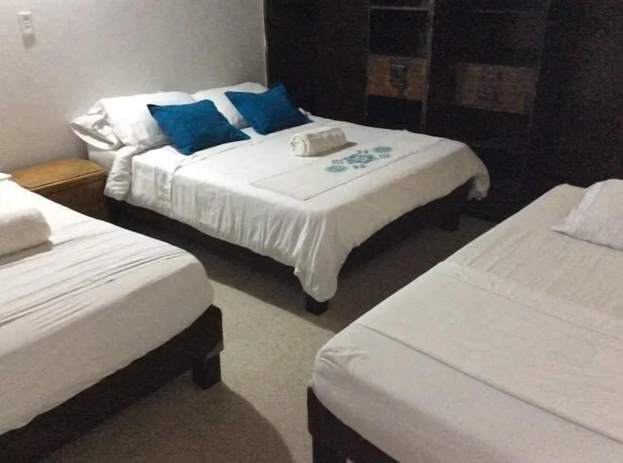 Varios Palm Tree Hostal Medellin - Hostel
