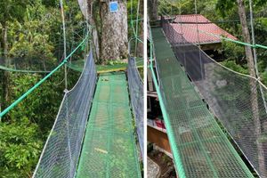 Alojamiento - Mountain Top Park Hotel