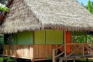 Alojamiento - Amazon Tropical Expeditions