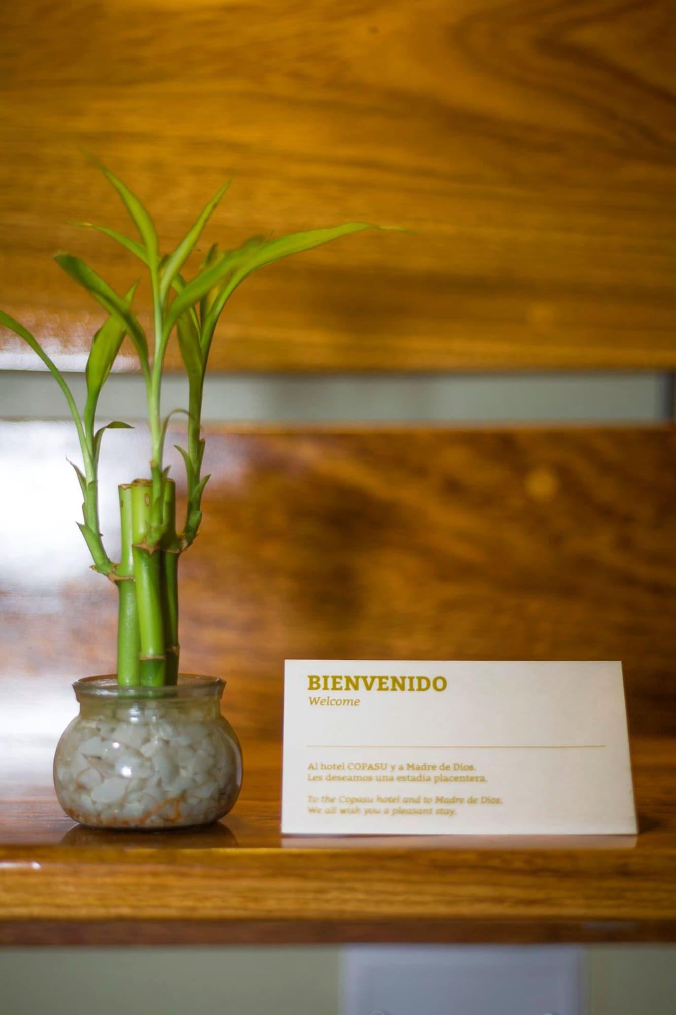 Set de Habitación Copasu Hotel