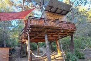 Alojamiento - TreeHouses Ljubač Glamping Robinson