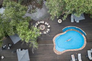 Alojamiento - Ndlovu Safari Lodge