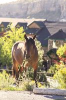 Alojamiento - The Retreat on Charleston Peak