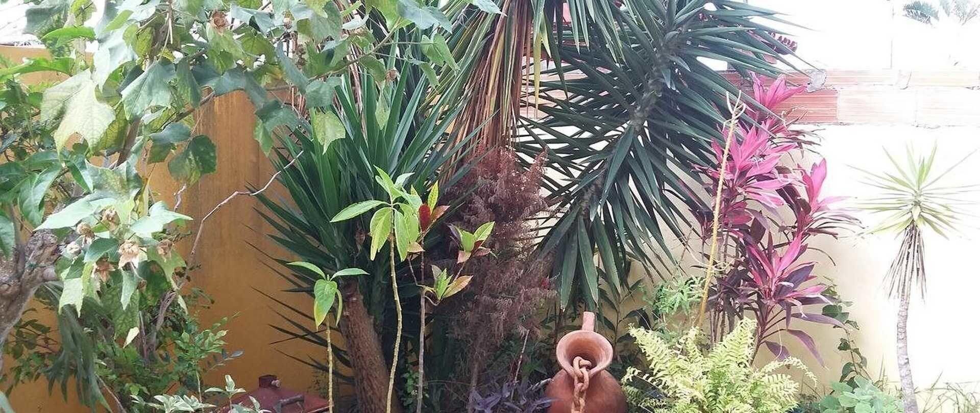 Comodidades del Alojamiento Pousada Dolce Vita