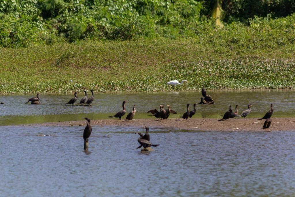 Varios Pousada Marina Paraty
