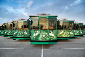 Actividad - Pase de tranvía I-Ride