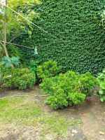 Alquiler Vacacional - CASA DE MAR 
un refugio único y cálido que promete ser más que un lugar estancia