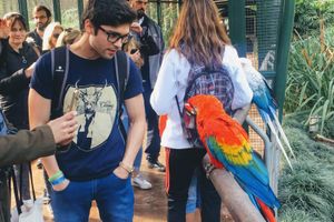 Actividad - Bioparque Temaiken
