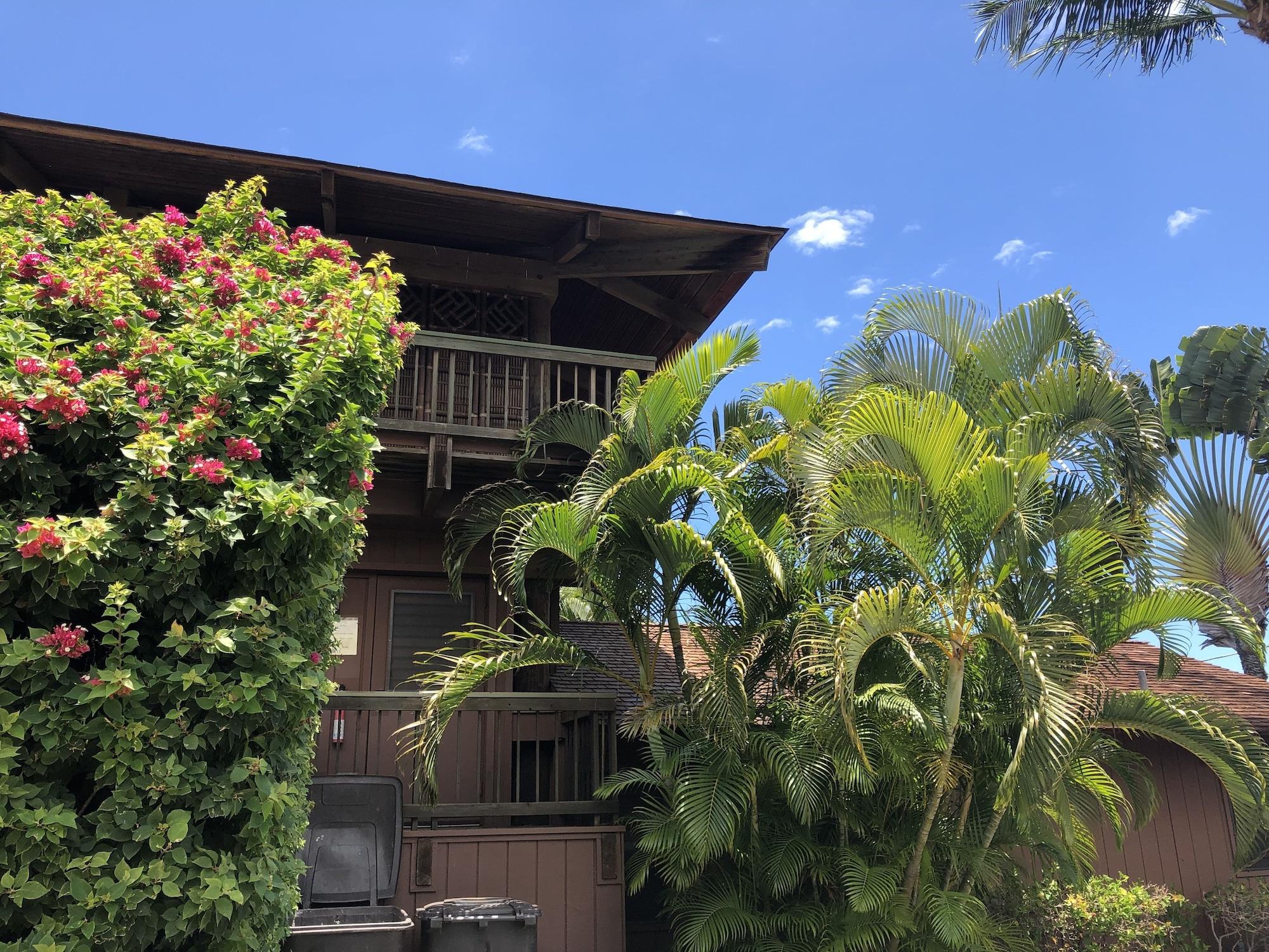 Vista Exterior Maui What A Wonderful World B and B Hawaii