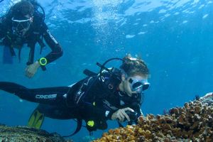 Actividad - Bautismo de buceo en Acapulco