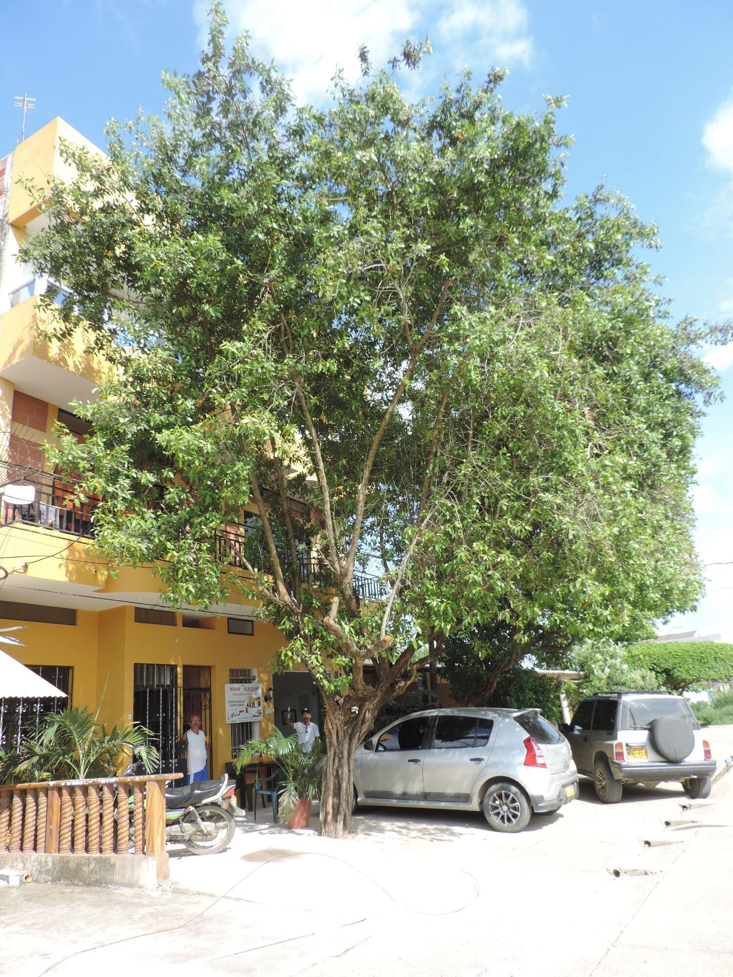 Vista Exterior Casa Hotel Gechalon - Su Hogar