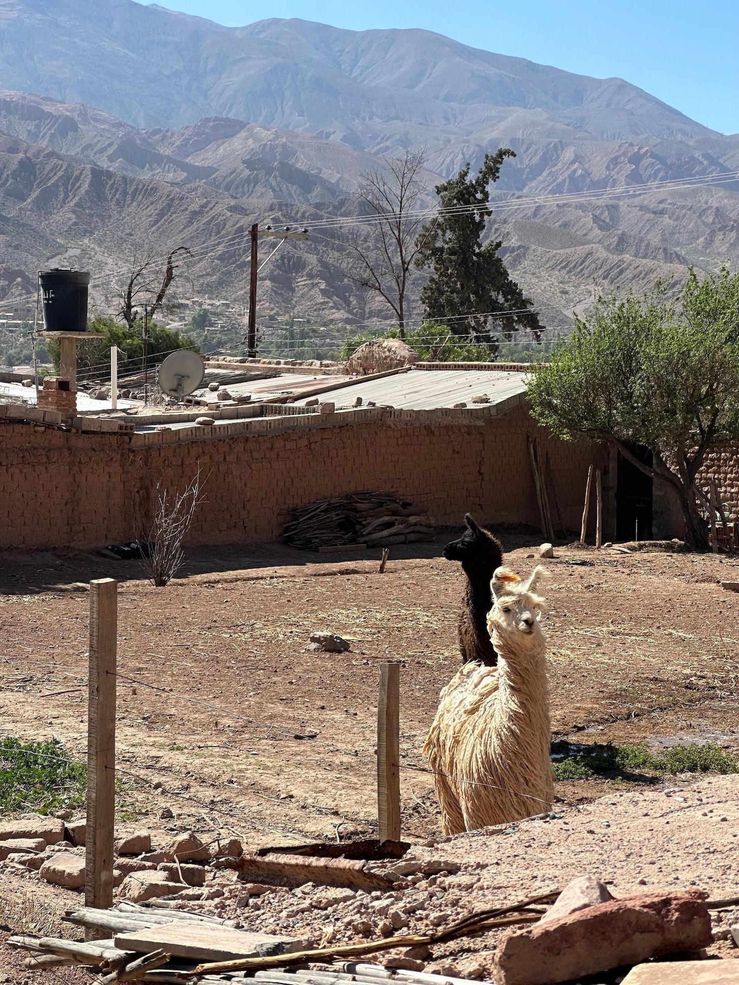 Vista Exterior El Convento de Tilcara Hostel