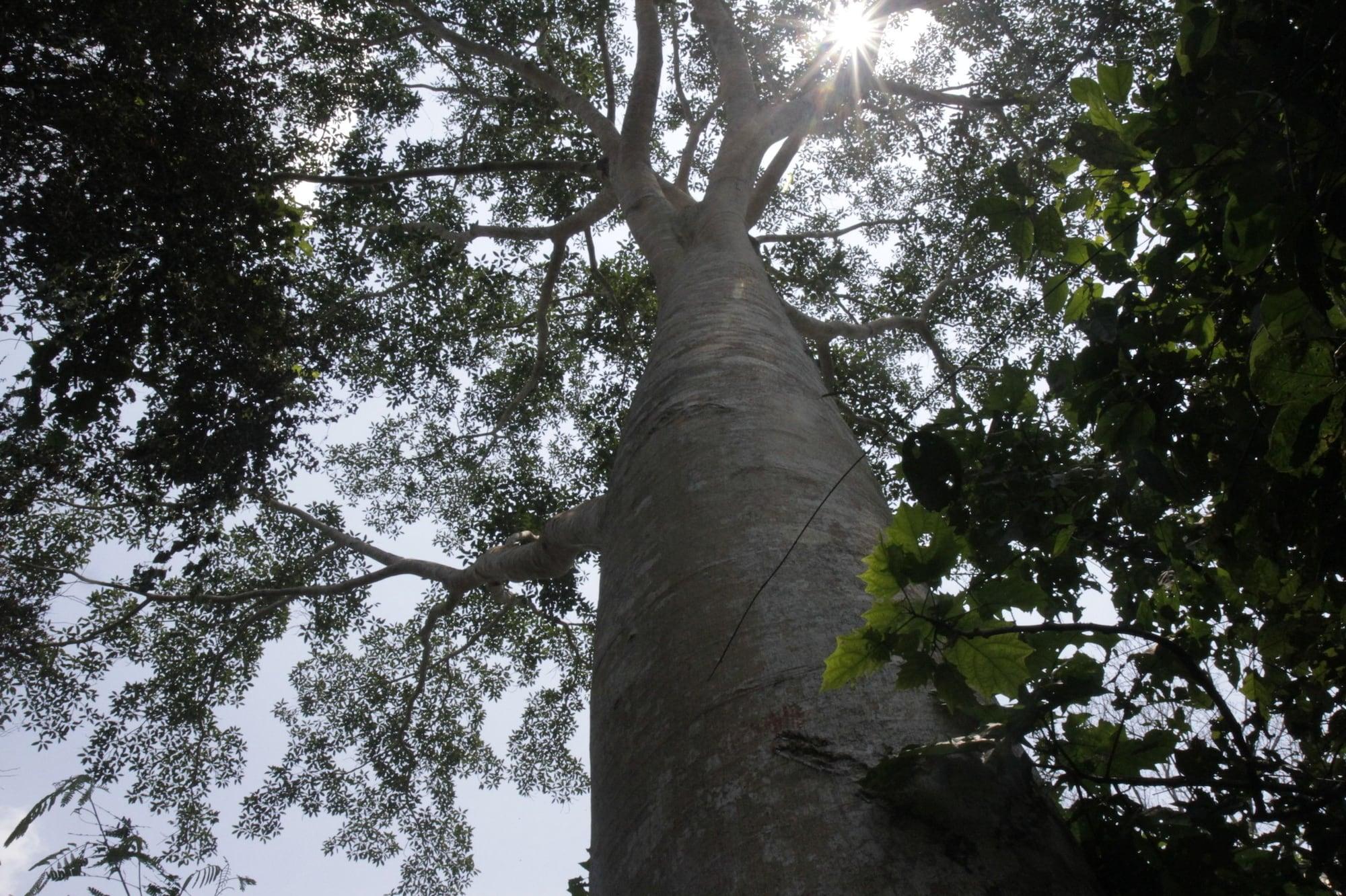 Comodidades del Alojamiento La Musa Verde