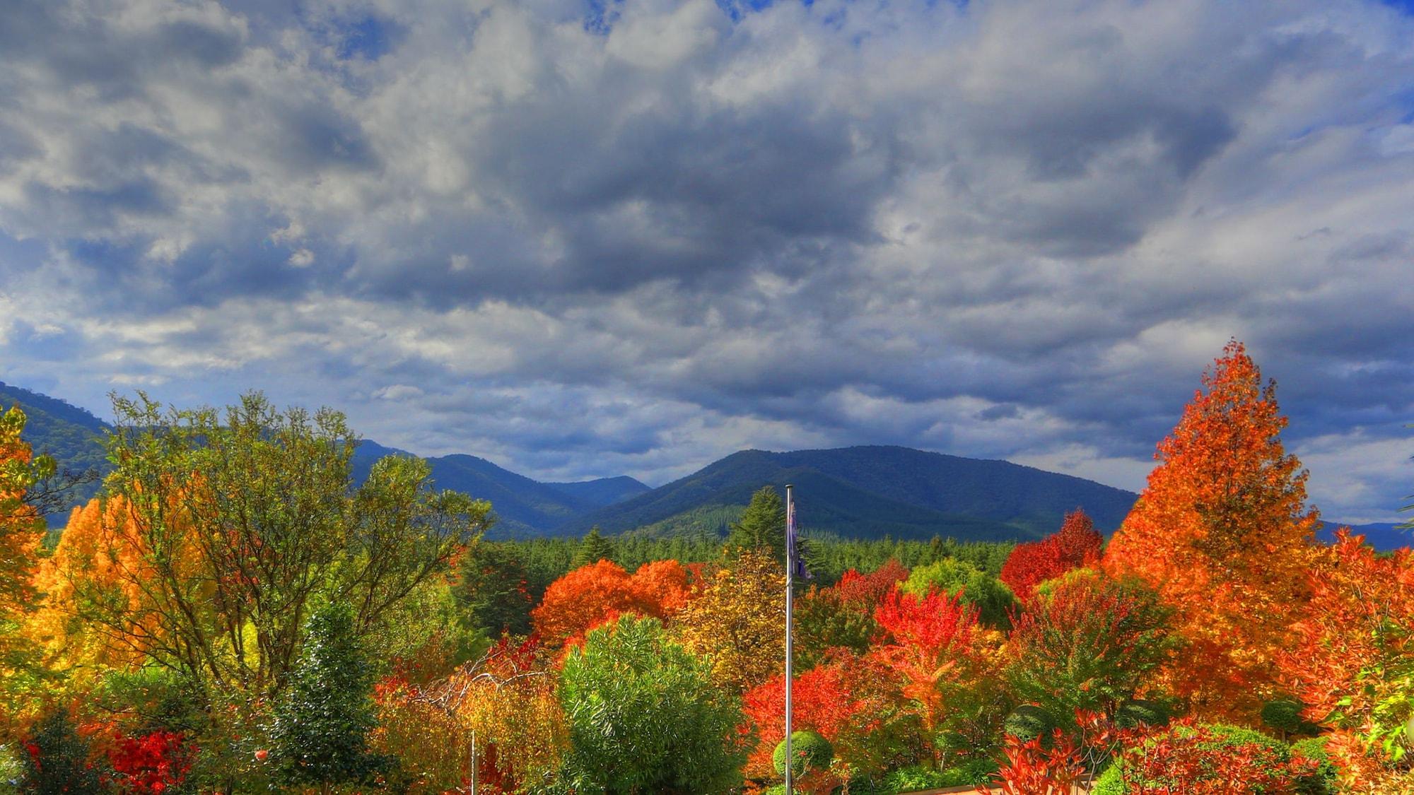 Vista Exterior Chestnut Tree Holiday Apartments