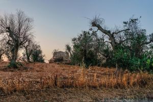 Alojamiento - Bed and Breakfast Cairoli