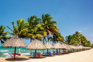 Paquete - Hotel Playa Divina