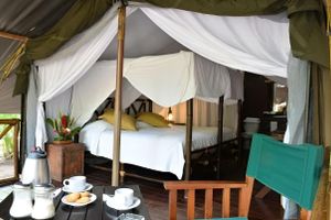 Alojamiento - Expediciones México Verde