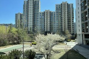 Alojamiento - BEIJING SEASONS PARK APARTMENT