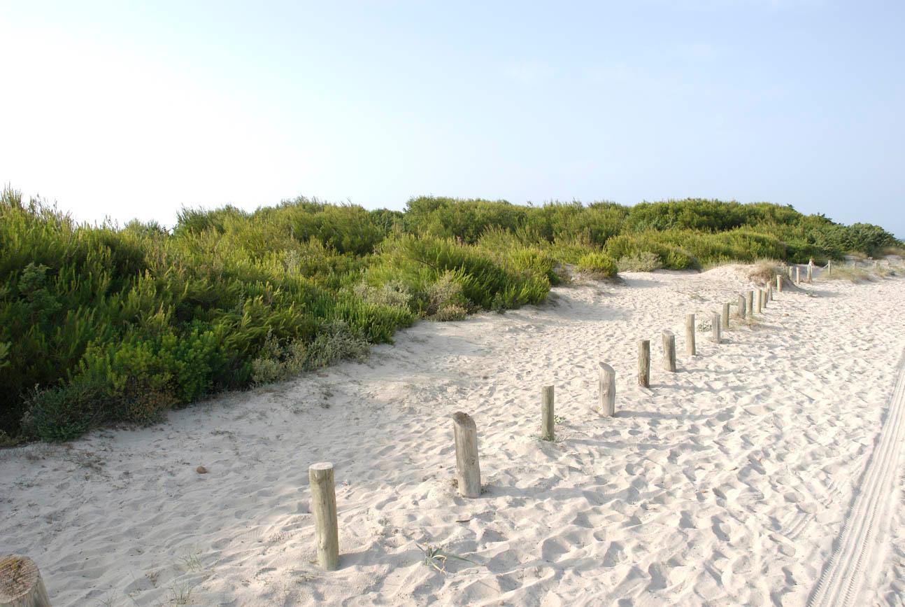Playa Es Baulo Petit Hotel