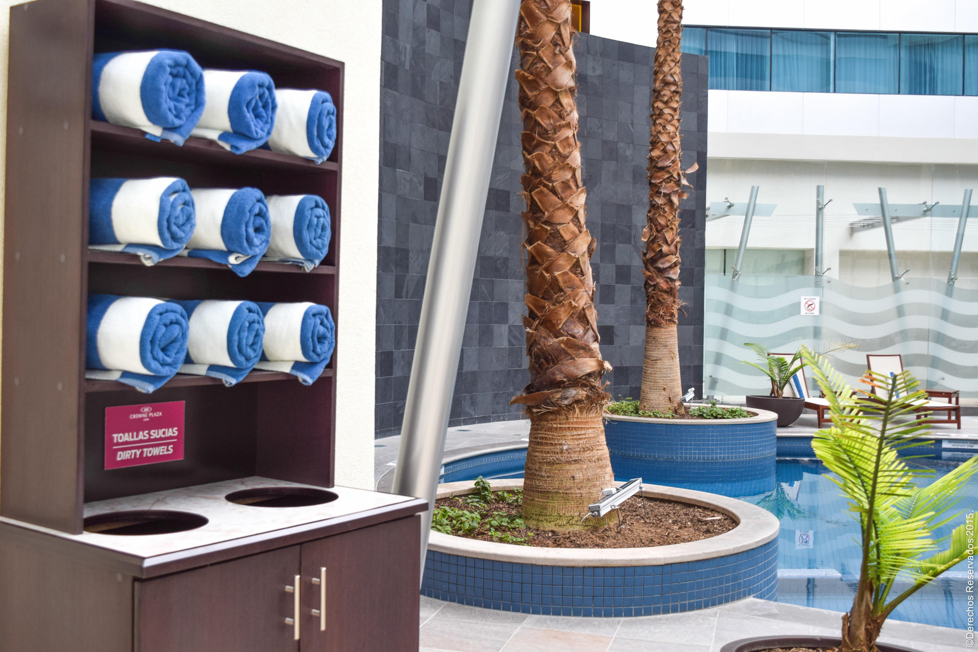 Vista Piscina Crowne Plaza Leon