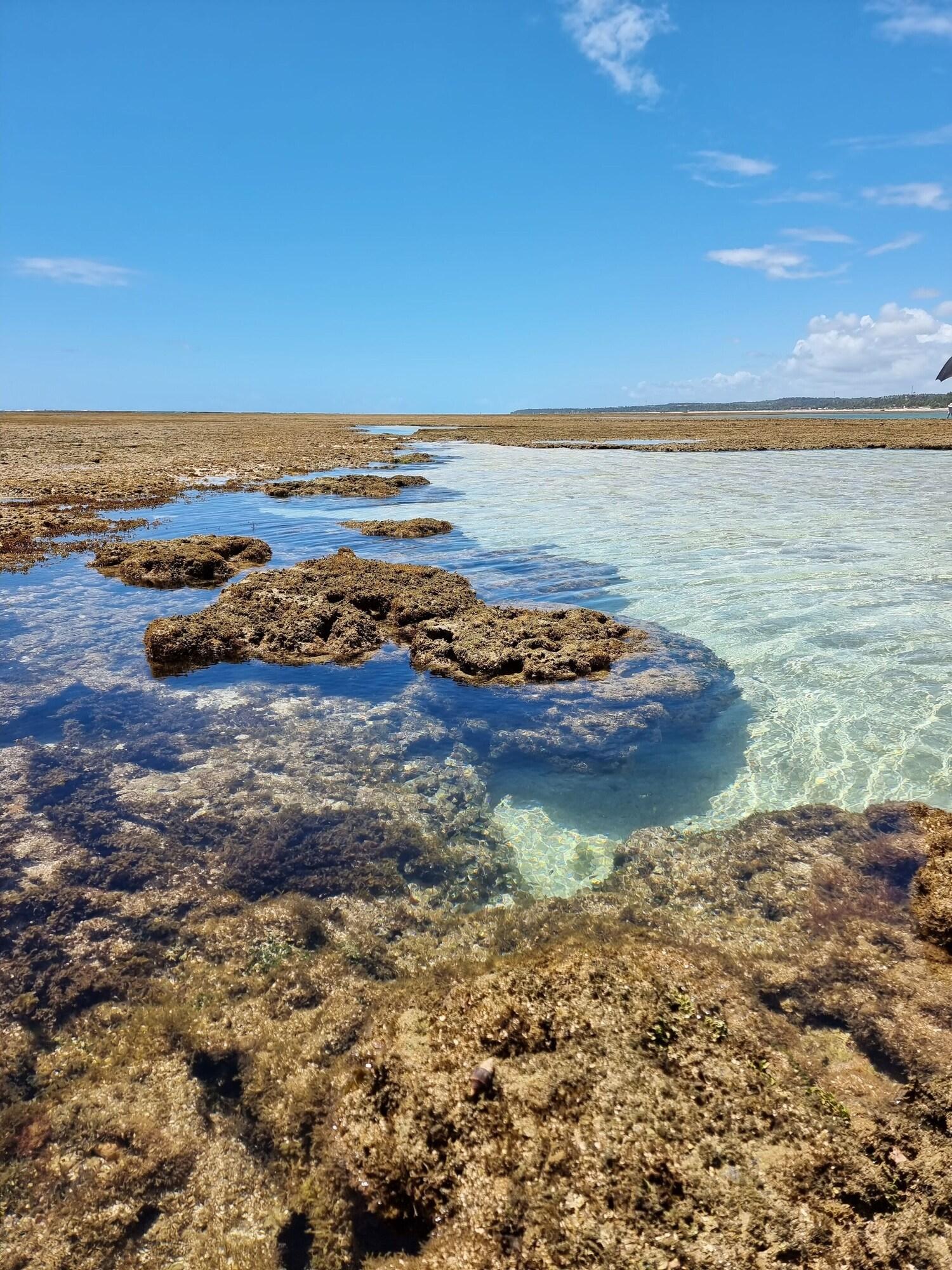 Playa Dellas pousada