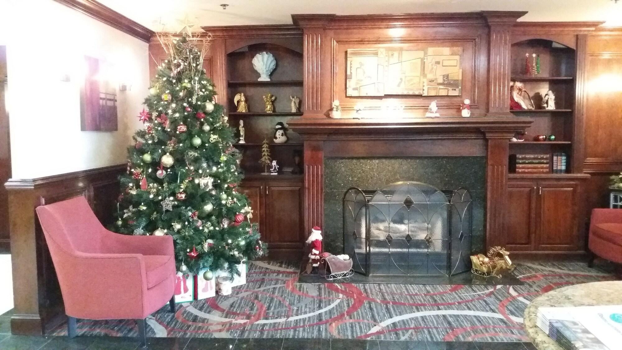 Vista Lobby Holiday Inn Express Hotel & Suites Waterford by IHG