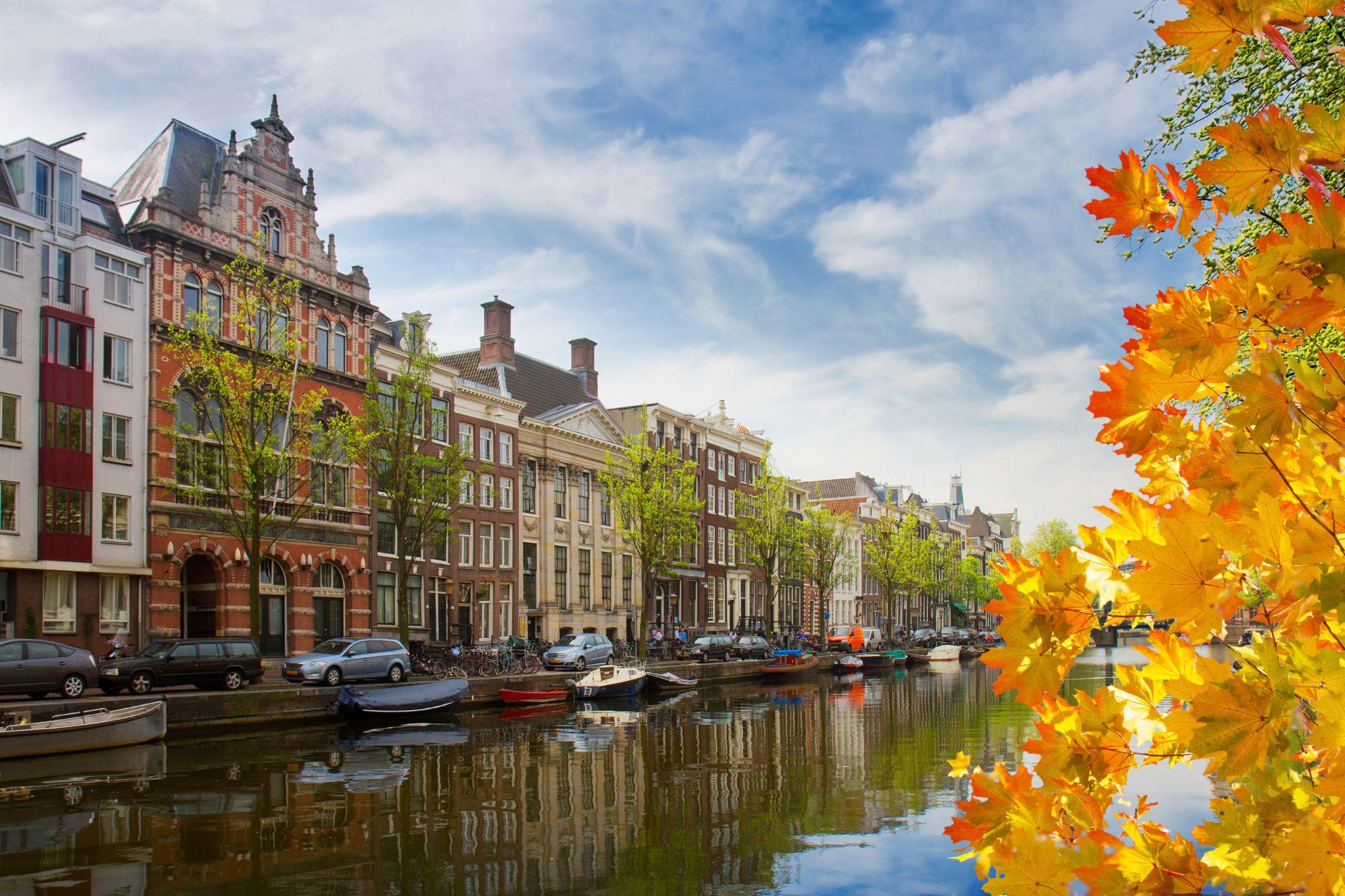Instalaciones Recreativas Amsterdam Lake Hotel