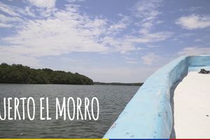 Actividad - Puerto Morro avistamiento de Delfines