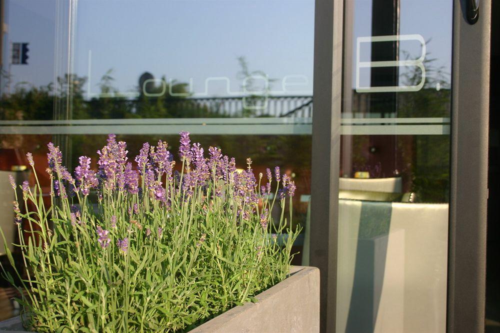 Vista Exterior Hôtel Bellevue