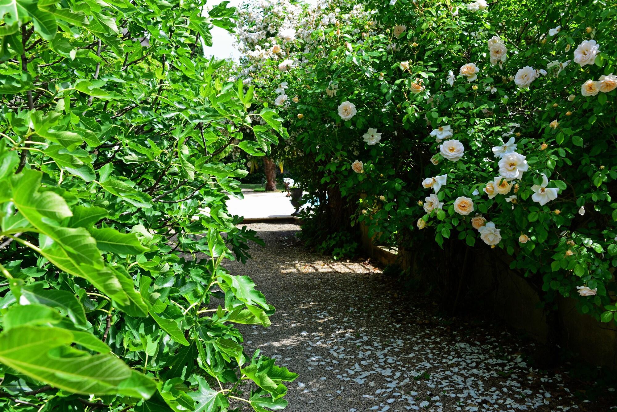 Vista Exterior Les Demoiselles