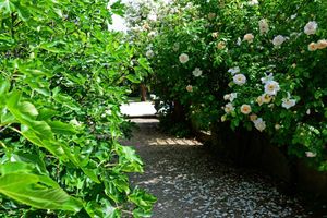 Alojamiento - Les Demoiselles