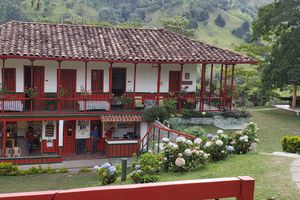 Actividad - Excursión a la hacienda Venecia, la finca de Café con aroma de mujer