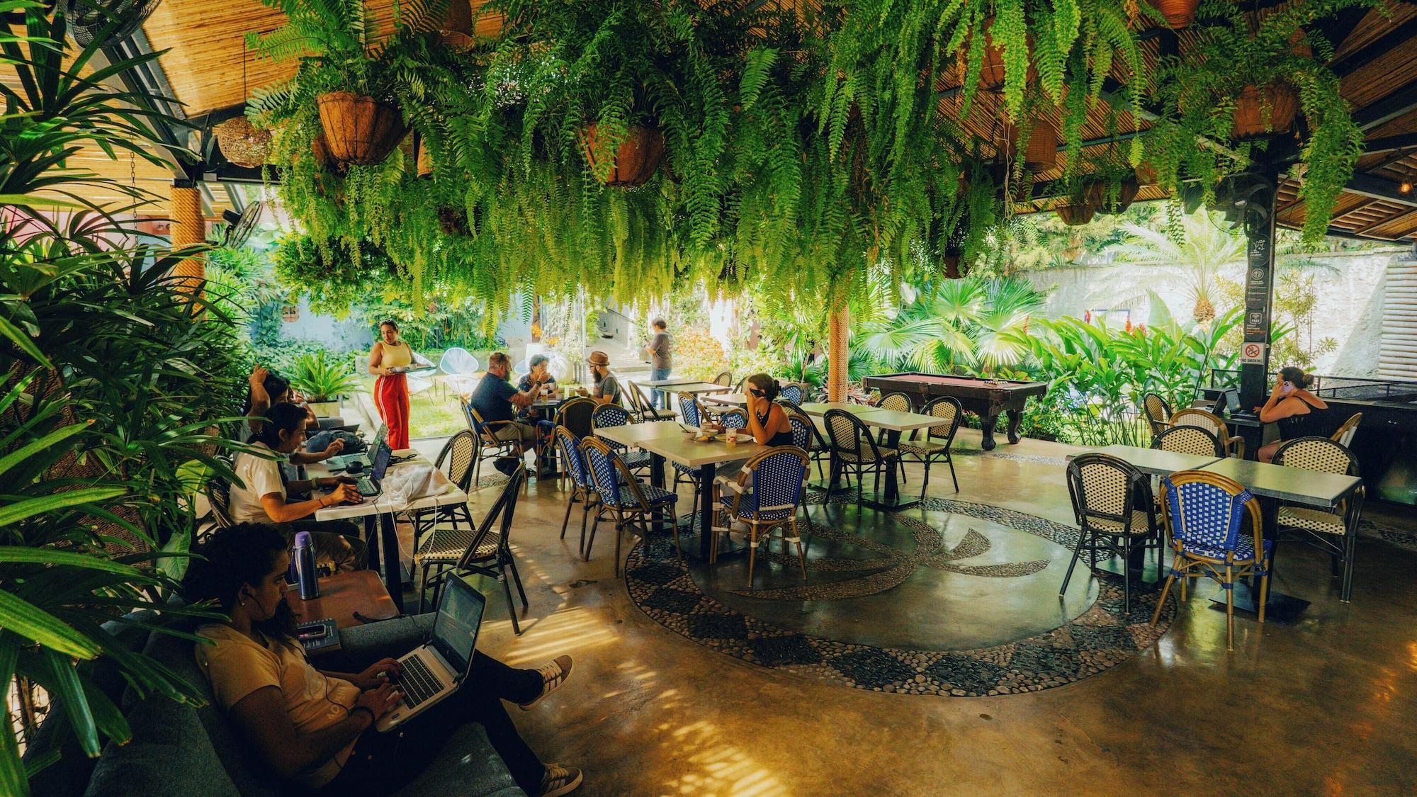 Restaurant Viajero Cali Hostel & Salsa School