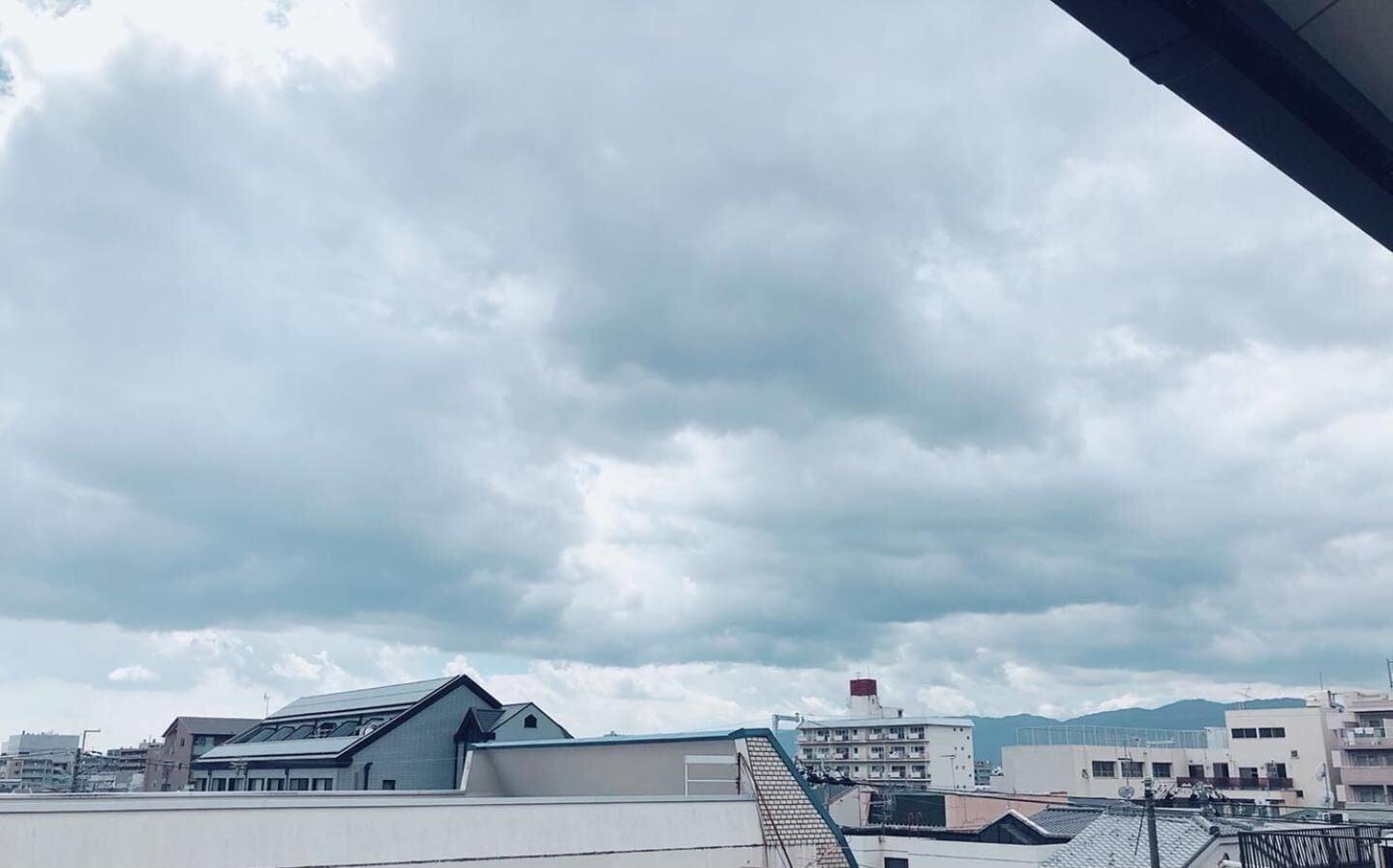 Playa Floral Green Maple House