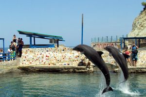 Actividad - Full day acuario, museo del mar y playa blanca.