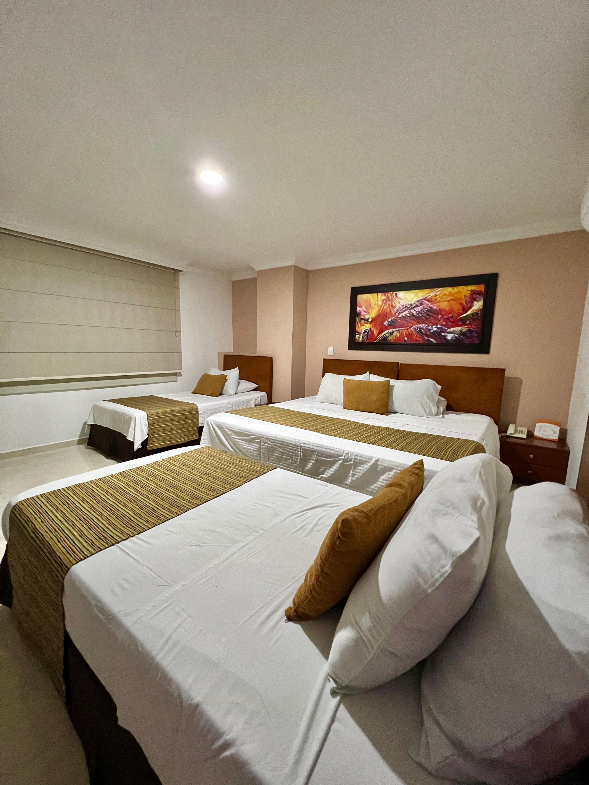 Habitación Hotel Buena Vista Express