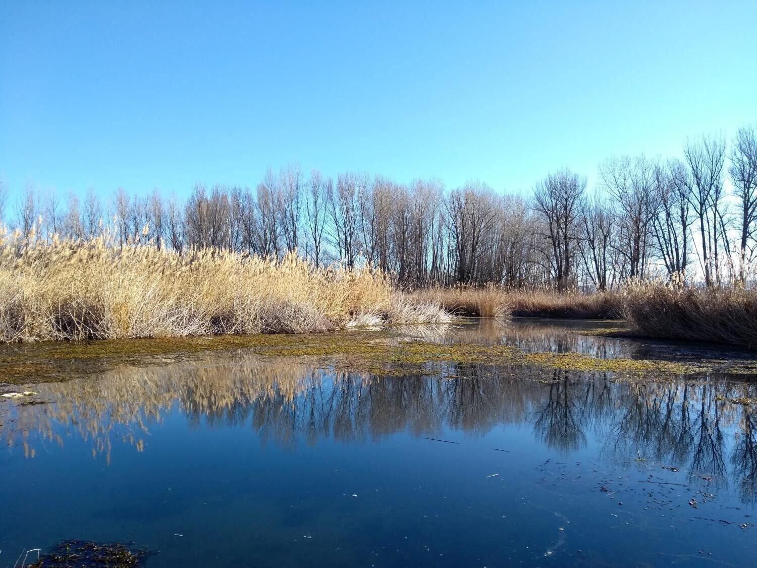 Vista Exterior Ashotels Monreal Del Campo