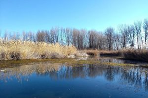 Alojamiento - Ashotels Monreal Del Campo