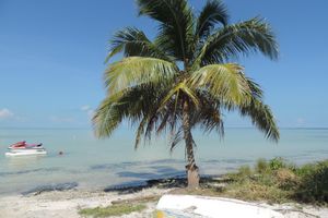 Los Mejores Hoteles en Playa Mujeres Todo Incluido
