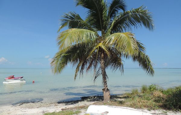 ikarus kiteboarding - Los mejores hoteles todo incluido en Playa Mujeres, México