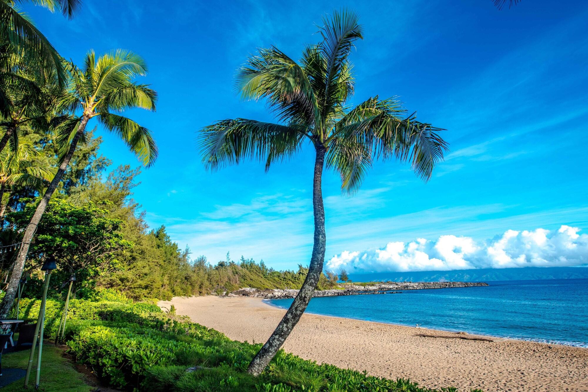 Playa The Ritz-Carlton Maui, Kapalua