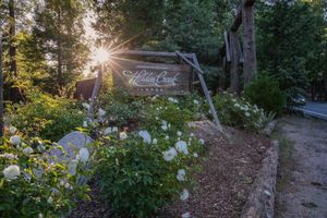 Alojamiento - Arrowhead Pine Rose Cabins