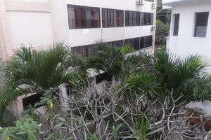 Alquiler Vacacional - Dre Broeders rent apartments Juan Dolio